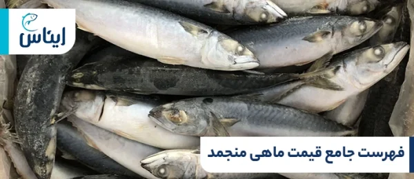 لیست قیمت ماهی منجمد
