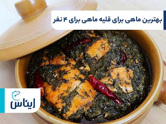 بهترین ماهی برای قلیه ماهی برای ۴ نفر