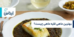 ماهی قلیه ماهی چیست؟