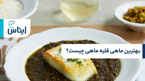 ماهی قلیه ماهی چیست؟