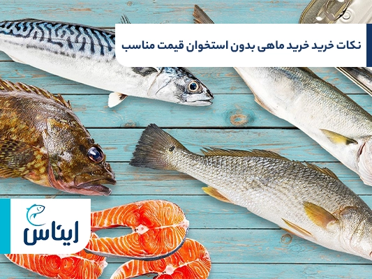 راهنمای خرید ماهی بدون استخوان قیمت مناسب