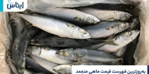 فهرست قیمت ماهی منجمد