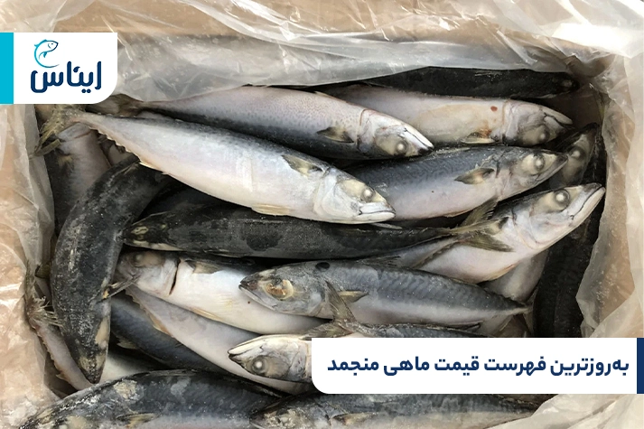 فهرست قیمت ماهی منجمد