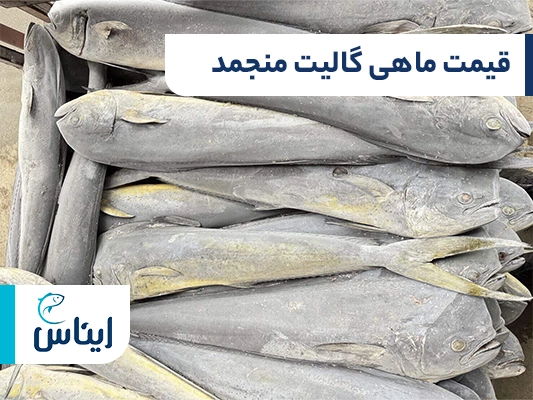 جدول قیمت ماهی گالیت منجمد