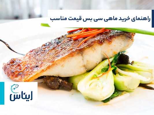 مهم‌ترین نکات در خرید ماهی سی بس قیمت مناسب