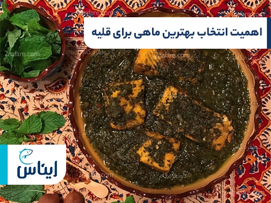 اهمیت انتخاب بهترین ماهی برای قلیه