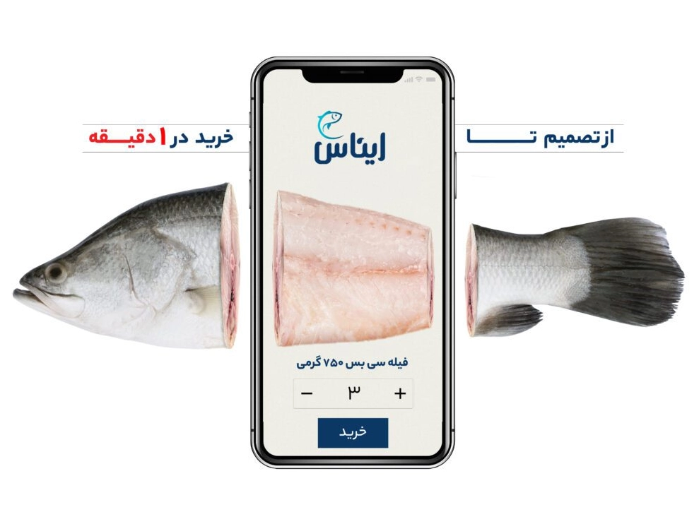 خرید ماهی سی بس