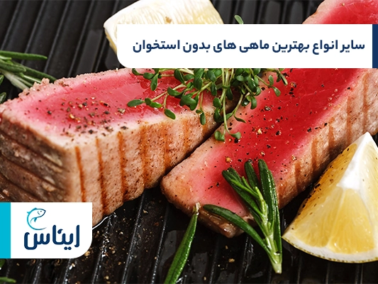 آشنایی با سایر بهترین ماهی های بدون استخوان