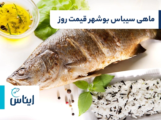 ماهی سیباس بوشهر قیمت روز بازار