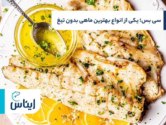 سی بس؛ بهترین ماهی جنوب بدون استخوان