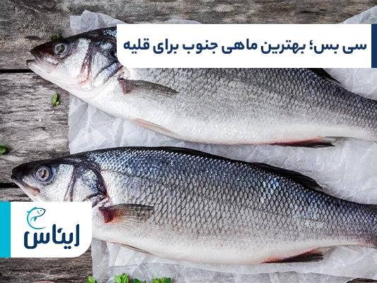 سی بس؛ بهترین ماهی بدون استخوان برای قلیه
