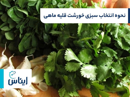 نحوه انتخاب مواد لازم و سبزی خورشت قلیه ماهی