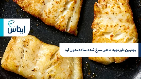 طرز تهیه ماهی سرخ شده ساده بدون ارد چگونه است؟