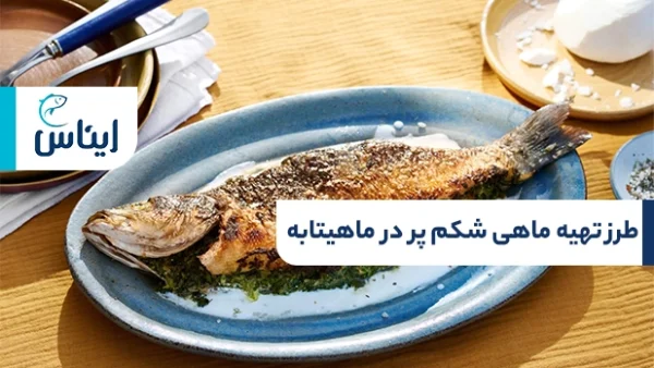 طرز تهیه ماهی شکم پر در ماهیتابه