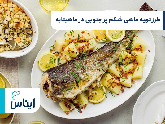 طرز تهیه ماهی شکم پر جنوبی در ماهیتابه