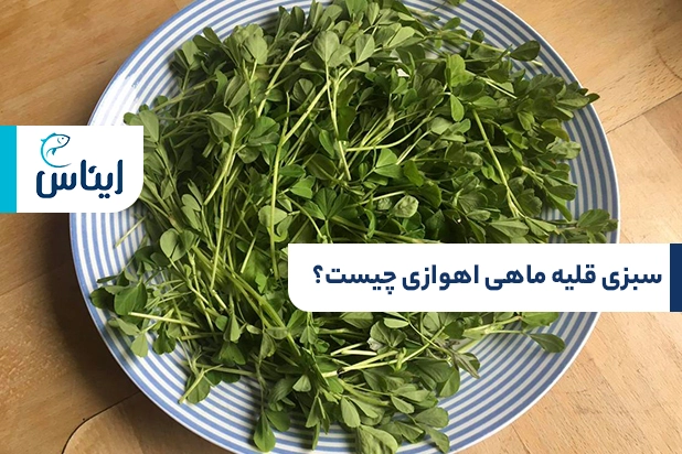 سبزی قلیه ماهی اهوازی چیست؟