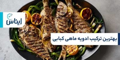 دستور تهیه ادویه ماهی کبابی