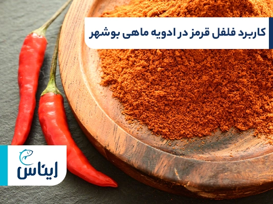 فلفل قرمز؛ از مهمترین ترکیبات ادویه ماهی بوشهر