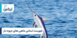 اسامی ماهی های جیوه دار چیست؟
