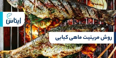 نحوه مرینیت ماهی کبابی