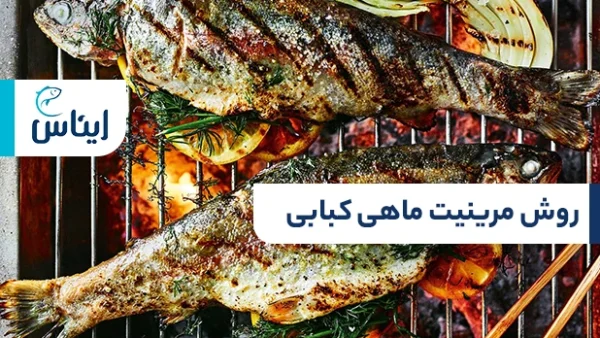 نحوه مرینیت ماهی کبابی