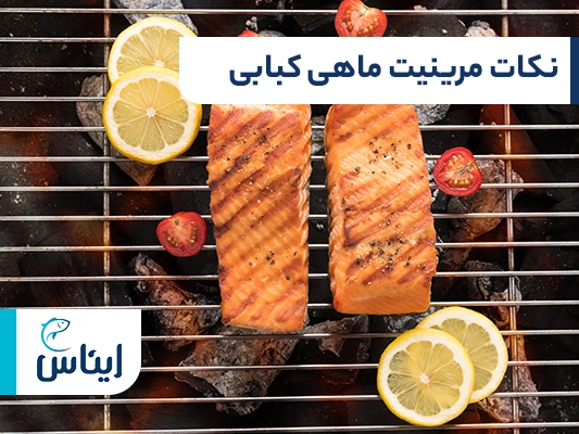 ترفندهای مرینیت ماهی کبابی