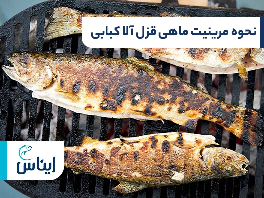 روش مرینیت ماهی قزل آلا کبابی