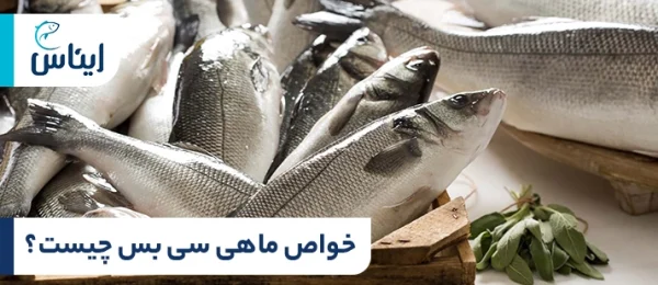 خواص ماهی سی باس برای تندرستی