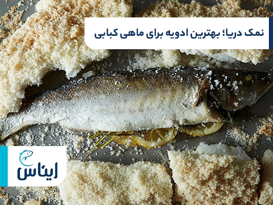نمک دریایی؛ بهترین ادویه برای ماهی کبابی	