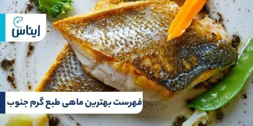 لیست ماهی طبع گرم جنوب