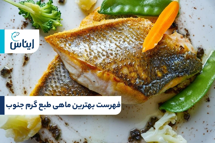 لیست ماهی طبع گرم جنوب