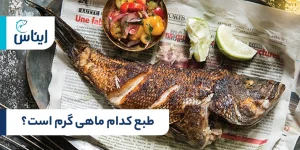 آیا می‌دانید طبع کدام ماهی گرم است؟