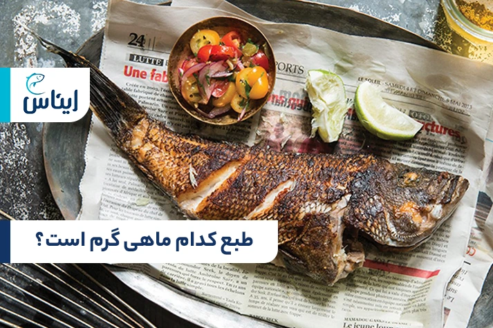 آیا می‌دانید طبع کدام ماهی گرم است؟