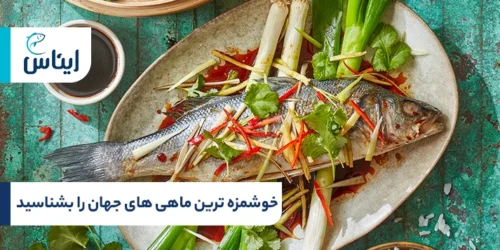 فهرست خوشمزه ترین ماهی های جهان