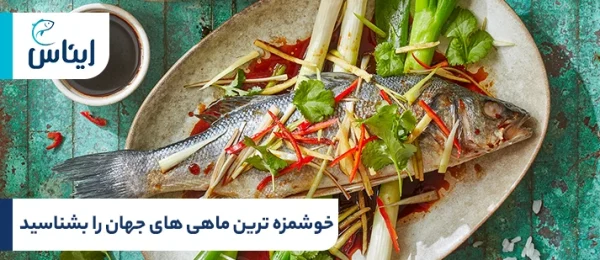 فهرست خوشمزه ترین ماهی های جهان