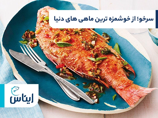 سرخو؛ خوشمزه ترین ماهی جهان برای سرخ کردن